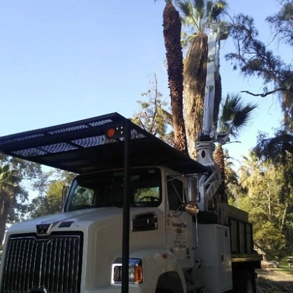 A General Tree Service crew member performing professional tree trimming to enhance safety and curb appeal for a home in Bakersfield, CA.