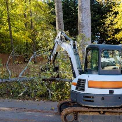 A professional tree service crew from General Tree Service performing safety-focused tree maintenance for a residential property in Wasco, CA.