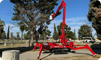 A General Tree Service technician providing precision canopy trimming to enhance property safety and aesthetics for a family home in Delano, CA.